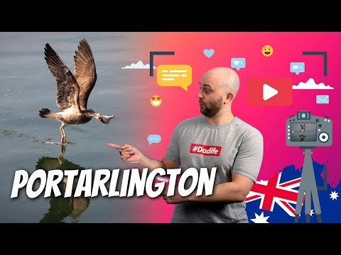 How to Build Resilience When Learning English | Portarlington Vlog