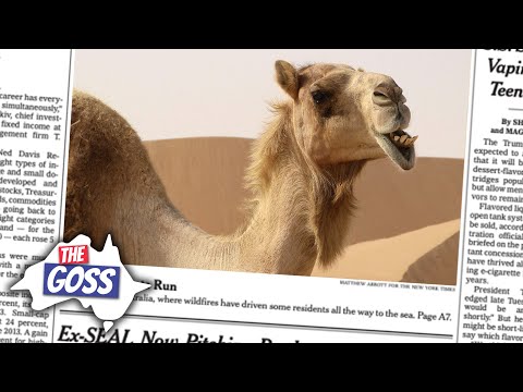 Why Australia's Culling 10,000 Camels | The Goss Episode 2