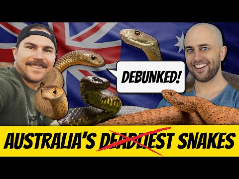 Australia's Deadliest Snakes - DEBUNKED with Ross McGibbon