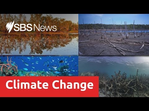 Australia's ecosystems 'already suffering from climate change'