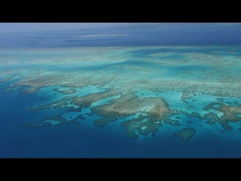 Australia's Great Barrier Reef disappearing due to climate change