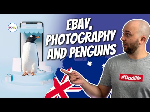 eBay, Photography, and Penguins