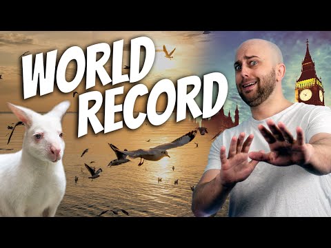 The Goss: World Record Migrations, Hero Birds, & Wallabies Invade Great Britain | AE 837