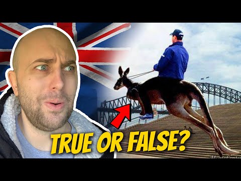 AUSTRALIAN Stereotypes! TRUE or FALSE? WOW...!!