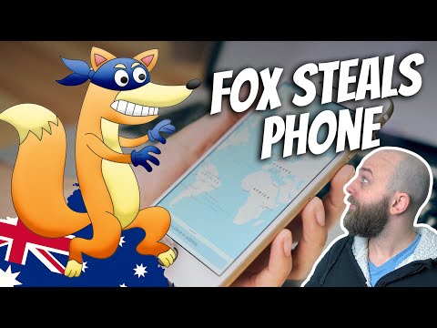 Fox Steals Man's Phone but is Tracked Down with Find-My-iPhone App