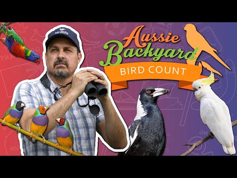 Twitching, Bin Chickens, & the 2020 Aussie Backyard Bird Count with Sean Dooley