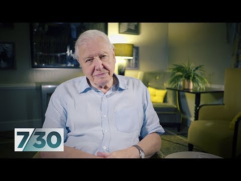 Sir David Attenborough urges Australian leaders to act on climate change | 7:30