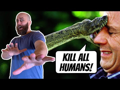 Do Snakes Just Want To Kill You? | AE 793