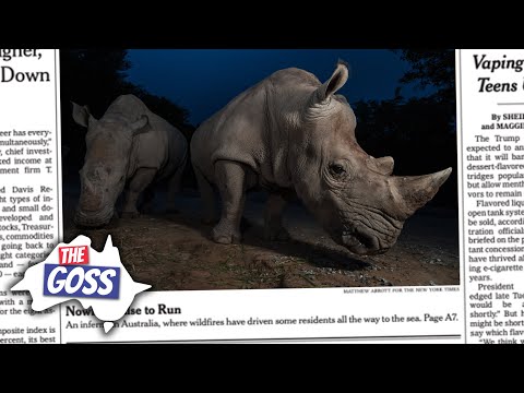 Rhinos, Desert Frogs, & Smoke-Tainted Wine | The Goss | Aussie English