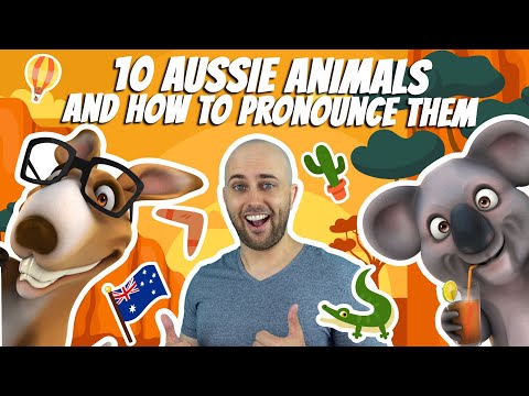 10 Aussie Animals & How to Pronounce Them