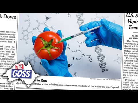 Anti-Vaxxers, GMO Cows, & White Supremacists in Australia | The Goss | Aussie English