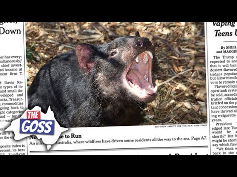 Devils, Tigers, Spiders & Judas Goats | The Goss Episode 3