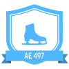 Badge icon 