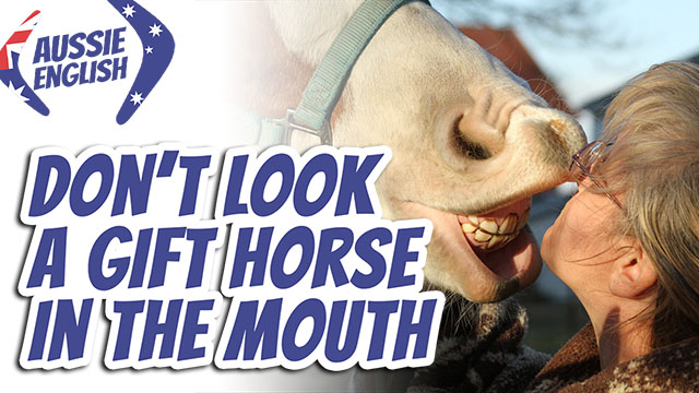 Don't look a gift horse in the mouth | LARD WANTS WORLD PEACE!