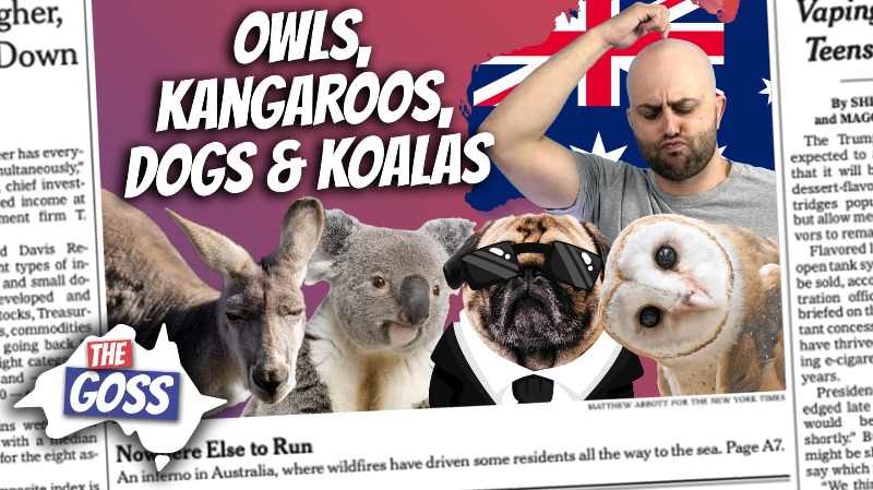 pete smissen, host of aussie english, the goss australia, ian smissen father, rocky the rockefeller owl, rockefeller christmas tree owl, talking kangaroos, dogs trained to protect bandicoots from predators