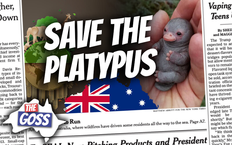 pete smissen, host of aussie english, talks to ian smissen, pete smissen father, talks about platypus saved by citizens australia, australian platypus story, the goss