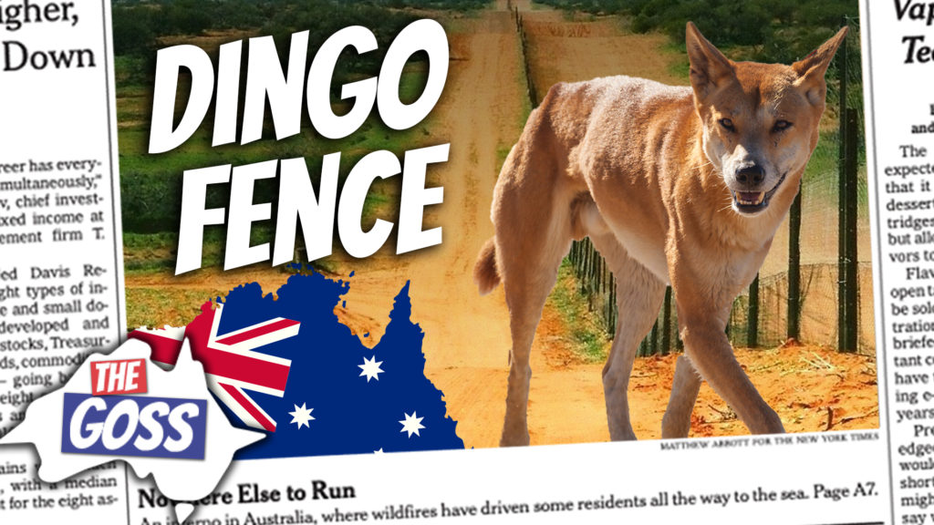 pete smissen, host of aussie english, the goss australia, ian smissen father, learn australian english, what are dingoes