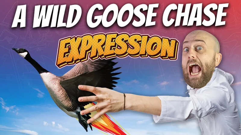 pete smissen, aussie english podcast, learn english australia, learn english with pete, learn language podcast, australian podcast, learn english podcast, learn english online course, english expressions, wild goose chase meaning, what is wild goose chase, bird idioms, english idioms example with meaning