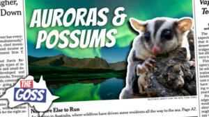 pete smissen, aussie english podcast, learn english australia, learn english with pete, learn language podcast, australian podcast, learn english podcast, learn english online course ian smissen, the goss australia, australia news opinion,, aurora australis, australian possum, sugar addicted possum, aurora in the south hemisphere