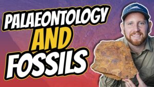 ae 1095,pete smissen,aussie english podcast,australian podcast,australian palaeontologist,dr matthew mccurry paleontologist,learn australian english,learn aussie english,australian accent,australian in conversation,learn english through stories,learn english through conversation,learn english podcast,learn language podcast,new feather fossil australia 2022,fossil of feather australia,australian museum,mcgrath flat fossils,mcgrath flat gulgong,spider fossil