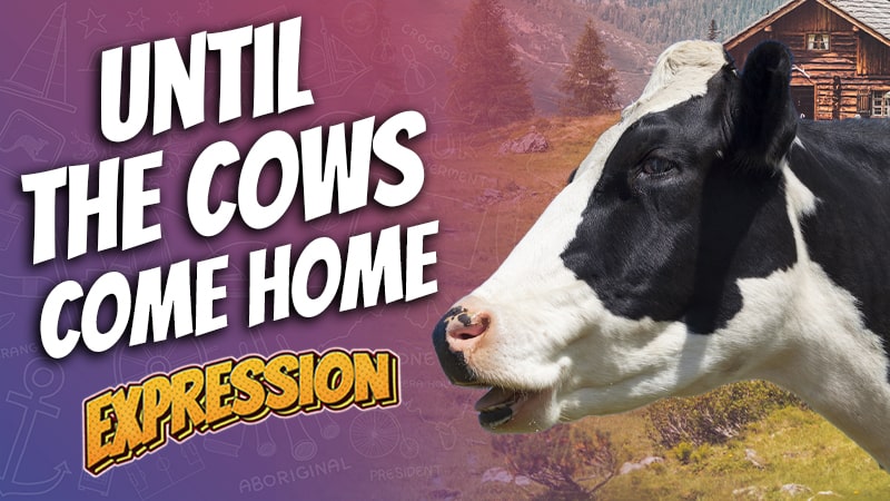 ae 1197, aussie english podcast, australian english, english expressions, english idioms, figurative expressions, until the cows come home meaning, learn english online course, learn english podcast, learn language podcast, until the cows come home meaning, until the cows come home expression, until the cows come home saying origin, until the cows come home sentence, pete smissen, when the cows come home, until the cows come home examples, until the cows come home synonyms, till the cows come home