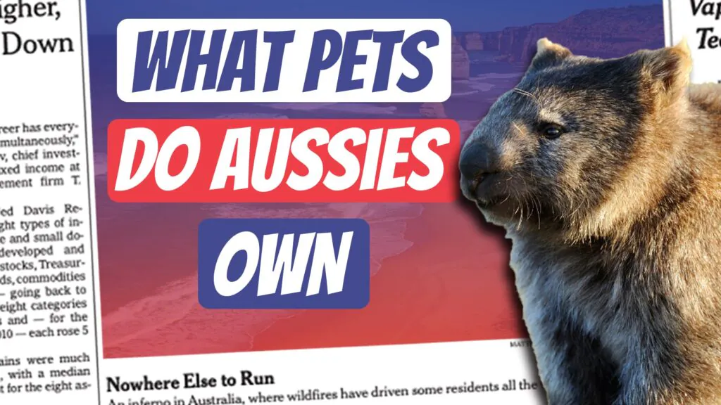 ae 1341, Aussie English podcast, Australian pets, Cats in different cultures, Dogs in Australia, Weird pets Australia, Australian animals as pets, Cultural differences pets, Black Plague cats, Funny doctor stories, Australian conversation, Listening skills English, Learn Australian English, Ian Smissen, Podcast about Australia, Australian slang, Pete Smissen