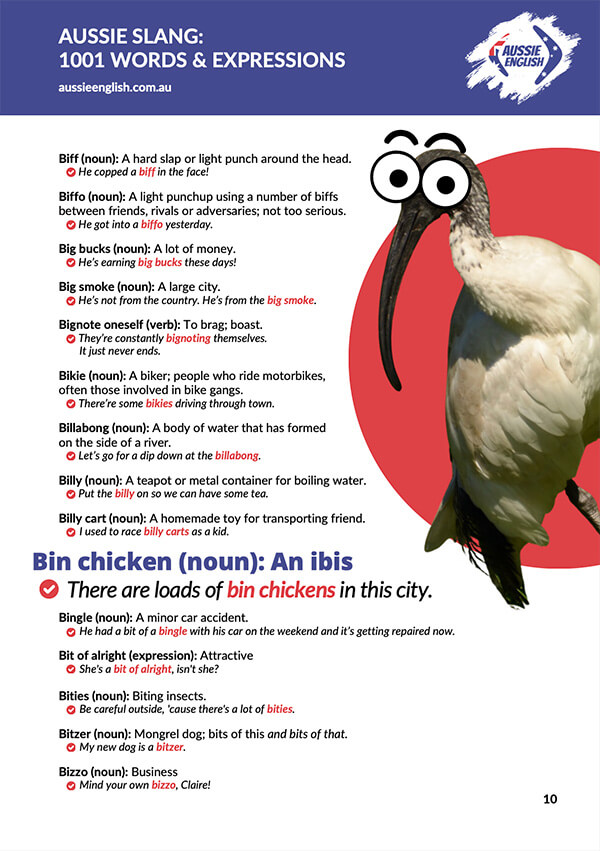 Aussie slang ebook example image 3