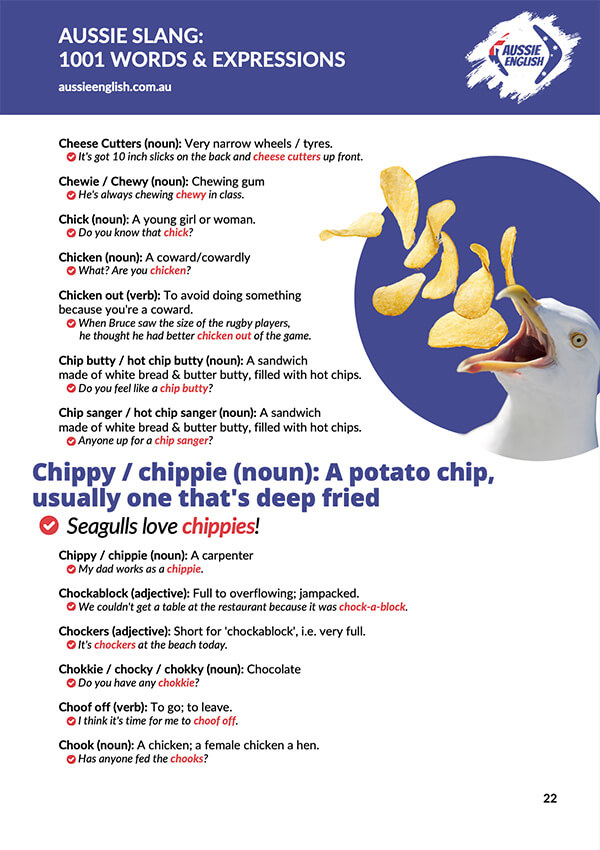 Aussie slang ebook example image 4